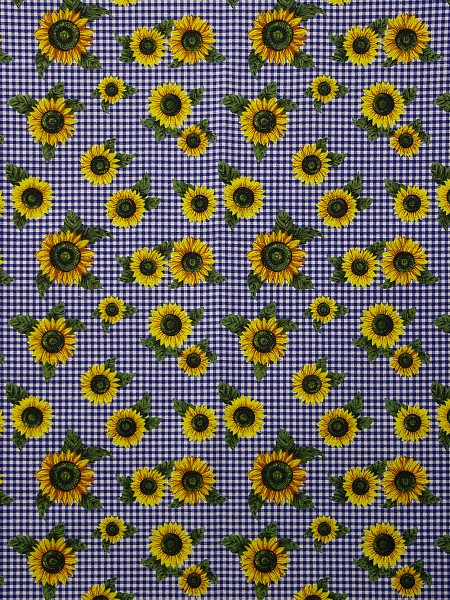 33770906/19